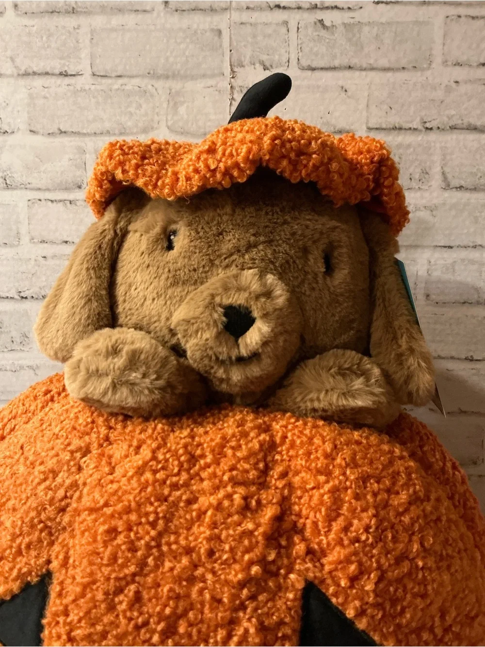 HUMANE SOCIETY 21x18 peek a boo halloween dog pillow